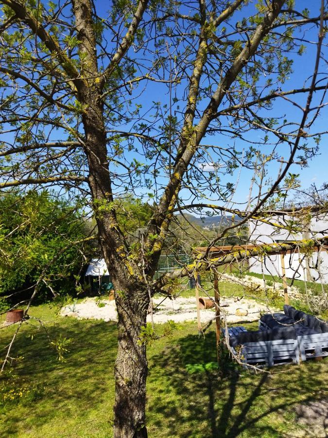 Mobile Home Saint-Christol-lès-Alès Dış mekan fotoğraf